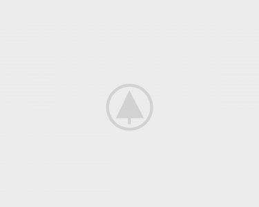 wood-gallery-placeholder-3